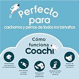 Ver la foto 6