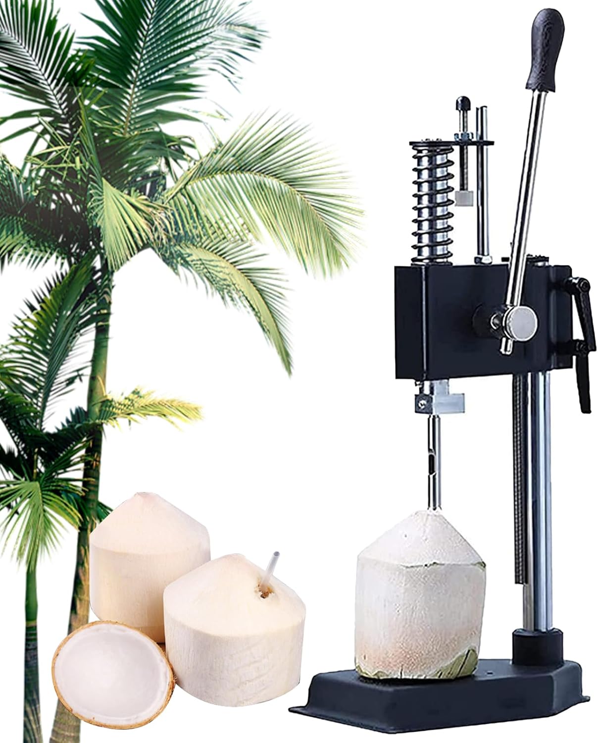 BURLEIGH バーレイ レッドキャリコ プレート M 21.5cm : ティーセット