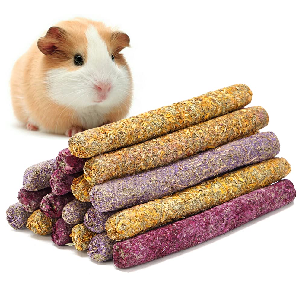 Can Guinea Pigs Eat Dog Treats