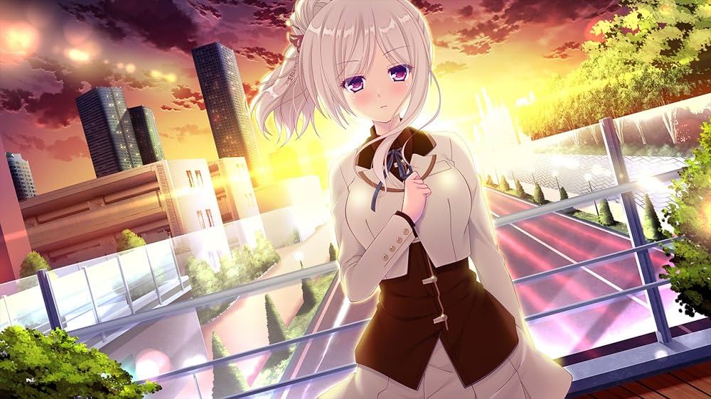 Amazon.co.jp: Amenity's Life - PSVita : ゲーム