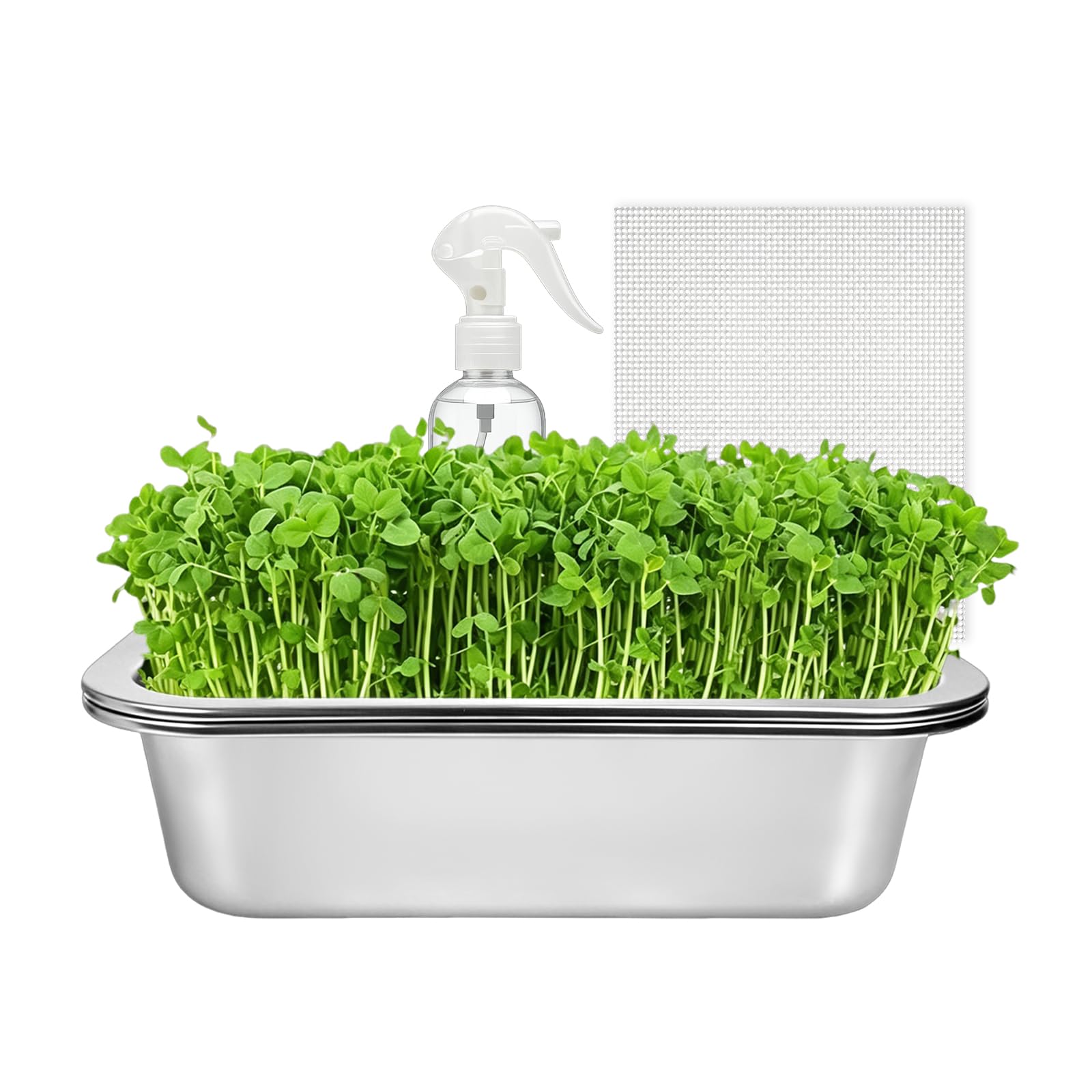 1er Set Sprossen Anzuchtset Edelstahl : 2-in-1 Keimschalen Set für Sprossen mit Silikonsieb & Stoff-26 x 19 cm Microgreens Anzuchtschalen für Katzengras Kresse- Profi Wiederverwendbare Keimschale