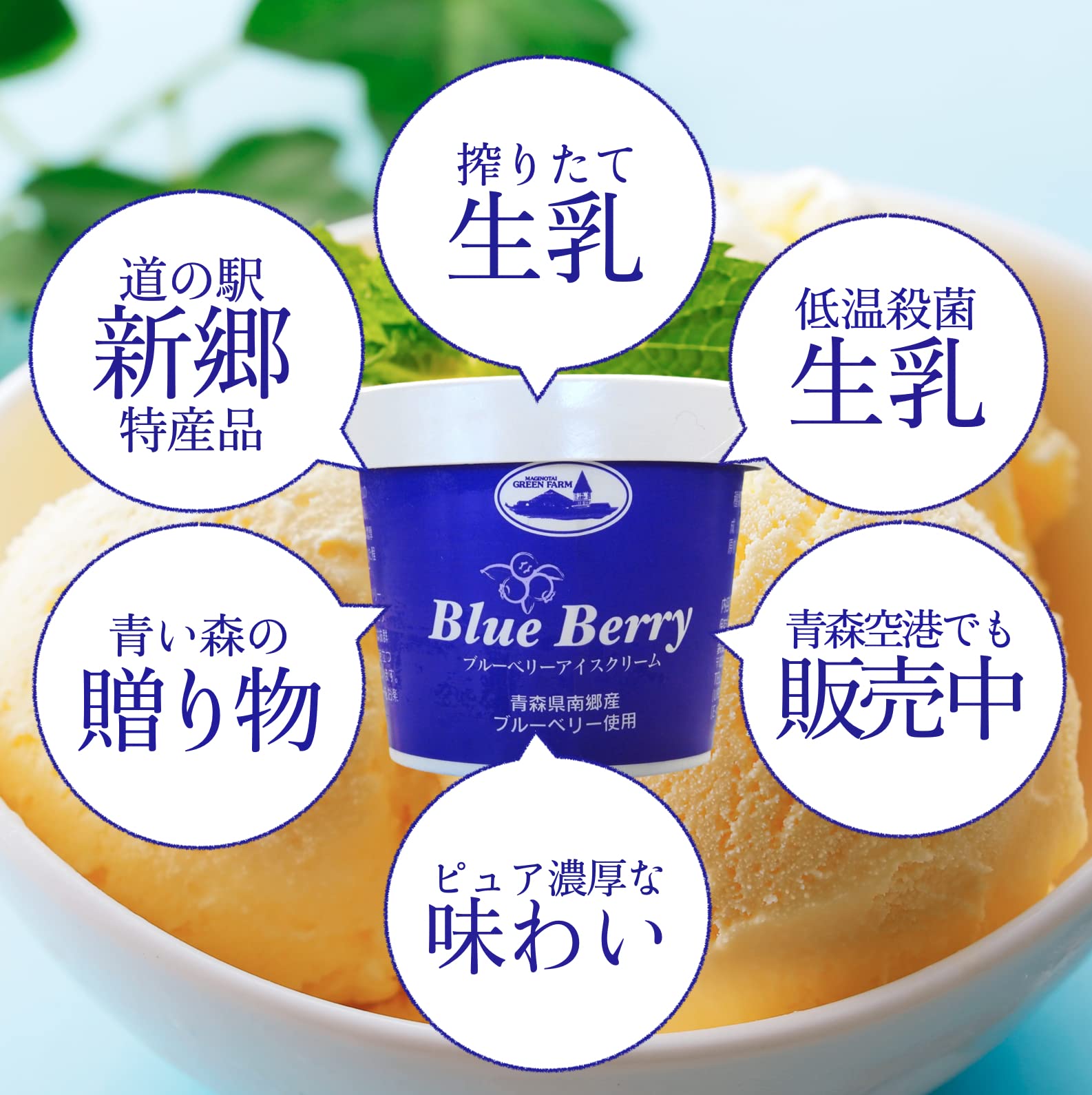 no.049 寒明けの南天　アイスブルーターコイズ　のリース　一点物 no.049 寒明けの南天アイスブルーターコイズのリース一点物