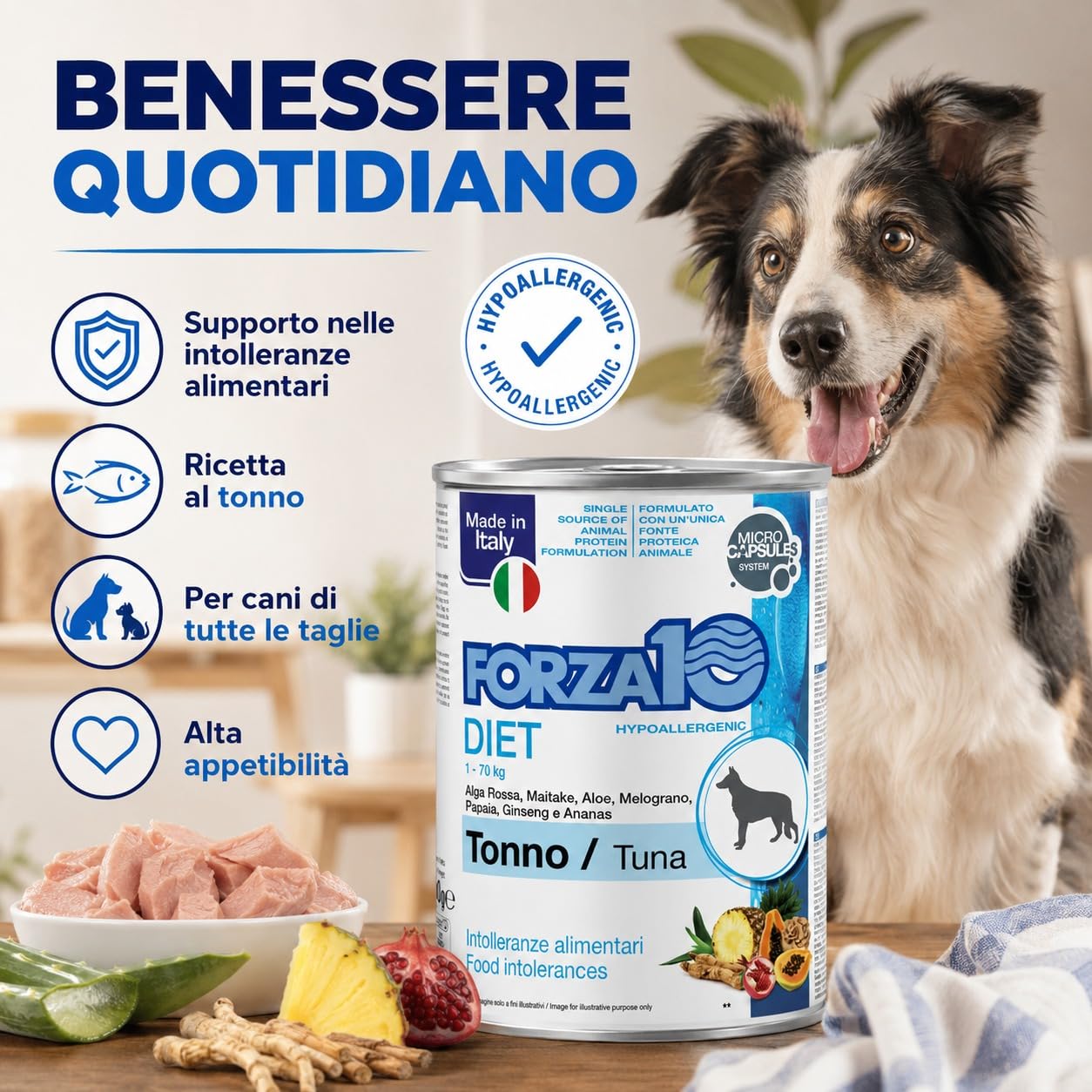 Tonno – Forza10 Diet Cibo Umido per Cani Adulti di tutte le Taglie e Razze, Monoproteico, Intolleranze alimentari 12 Lattine x 400g, Alimento Completo.