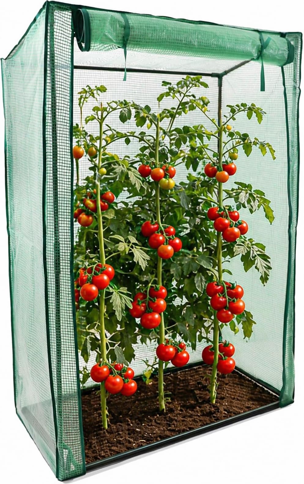 DIVCHI Greenhouse Garden Tomato Growhouse Vegetables Grow Tent Green House With Roll-Up Door Reinforced Cover & Heavy Duty Frame