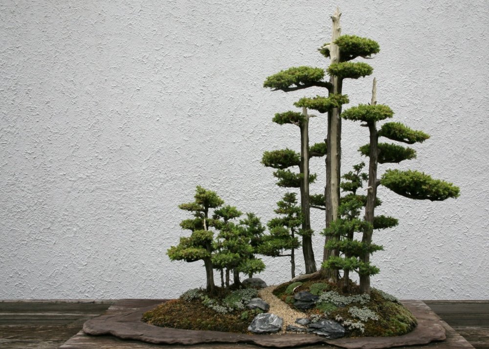 View 9