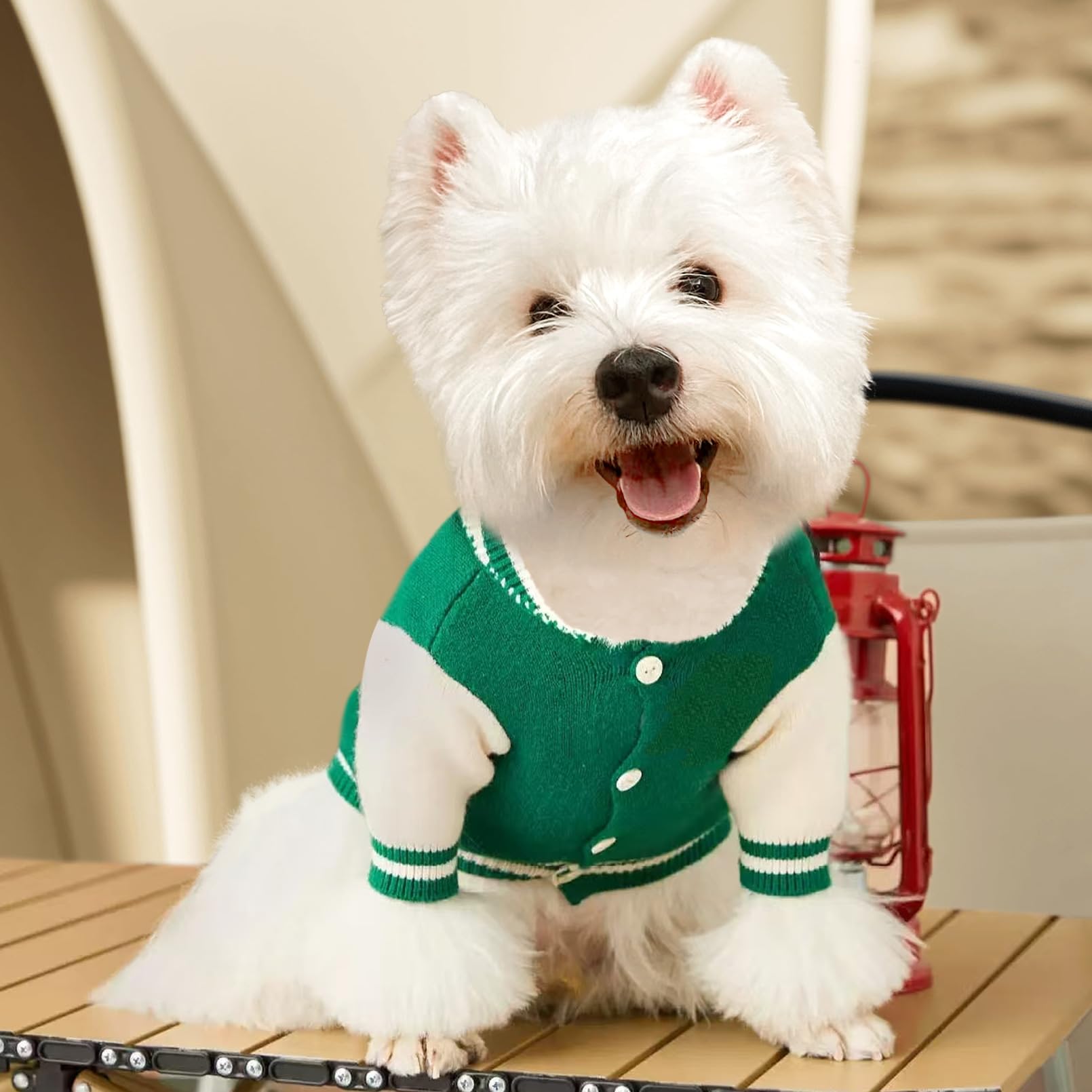 Kleiner Hundepullover, warmer Haustierpullover, niedlich, gestrickt, klassischer Hundepullover für kleine Hunde, Hunde-Sweatshirt, Kleidung, Mantel (Größe S)