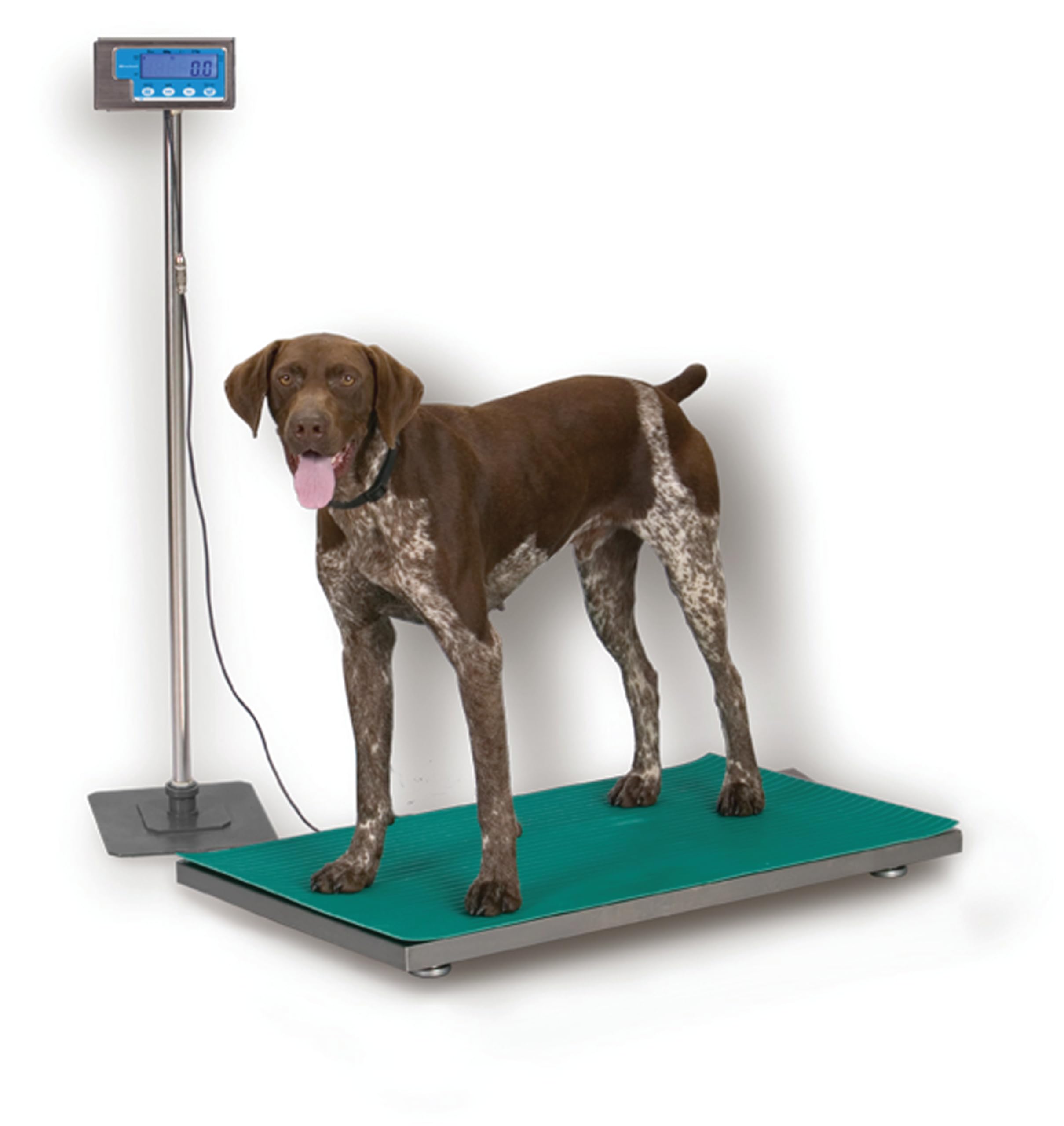 Ohaus V22XWE6T Valor 2000 XW Compact Bench Scale 6, 000g x 1g