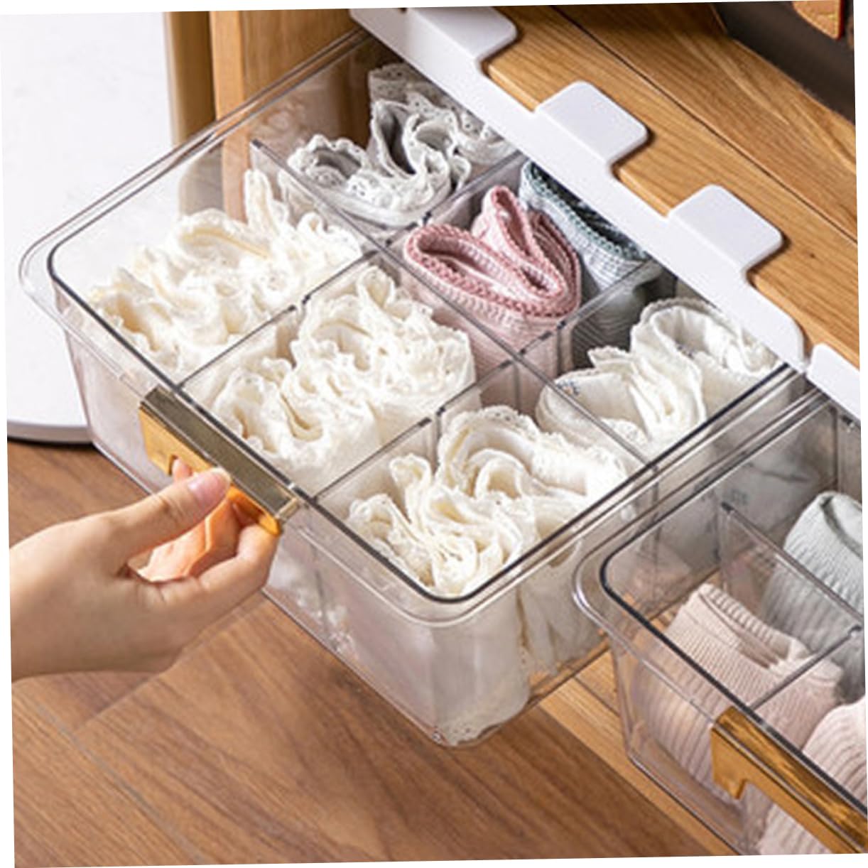Alipis Scatola Organizer per Armadio Multi-griglia Coperchio Pet 6330