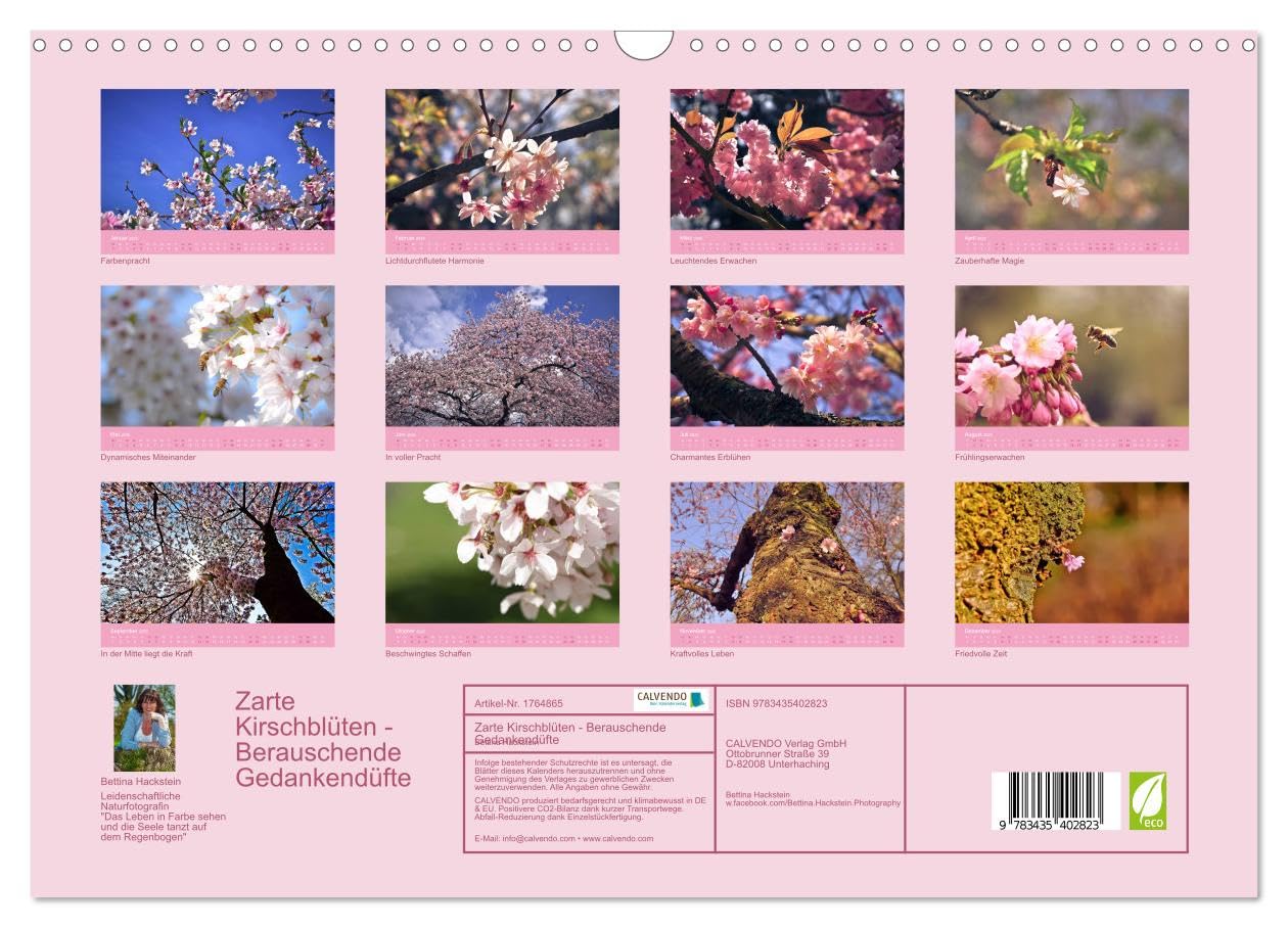 Zarte Kirschblüten - Berauschende Gedankendüfte (Wandkalender 2025 DIN A3 quer), CALVENDO Monatskalender: Lichtvolle Momente zur Kirschblütenzeit (CALVENDO Natur)