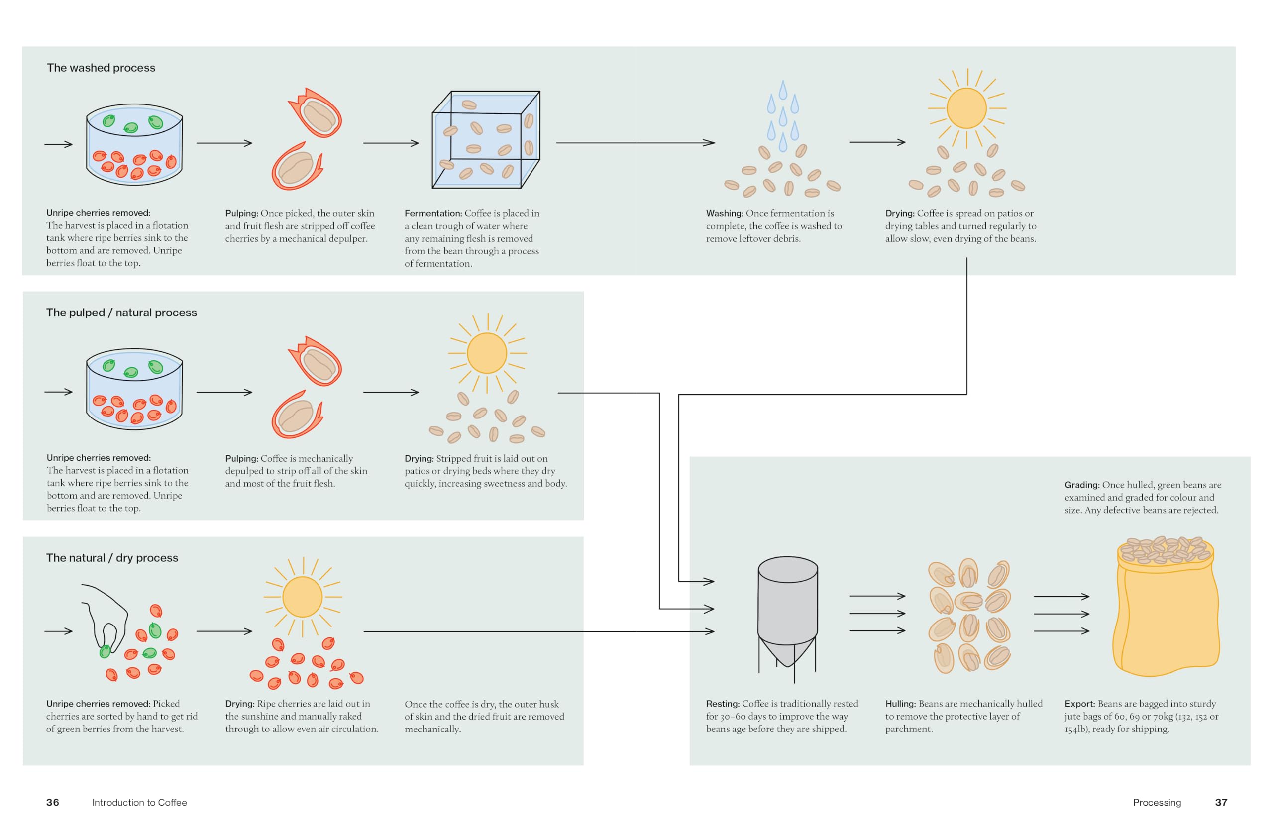 The World Atlas of Coffee 3rd edition: From beans to brewing – coffees explored, explained and enjoyed