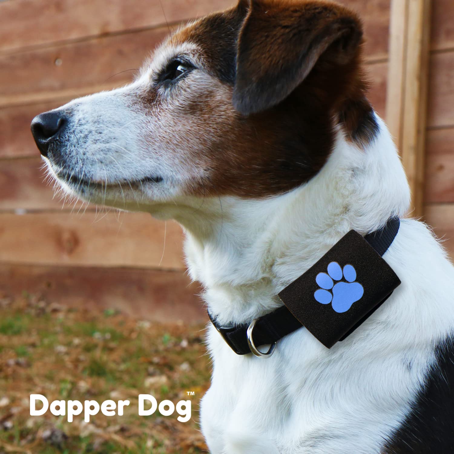 Dapper Hundemarken-Schalldämpfer – AirTag-Halter Aus Ballistischem Nylon, Stoppt Das Klingeln