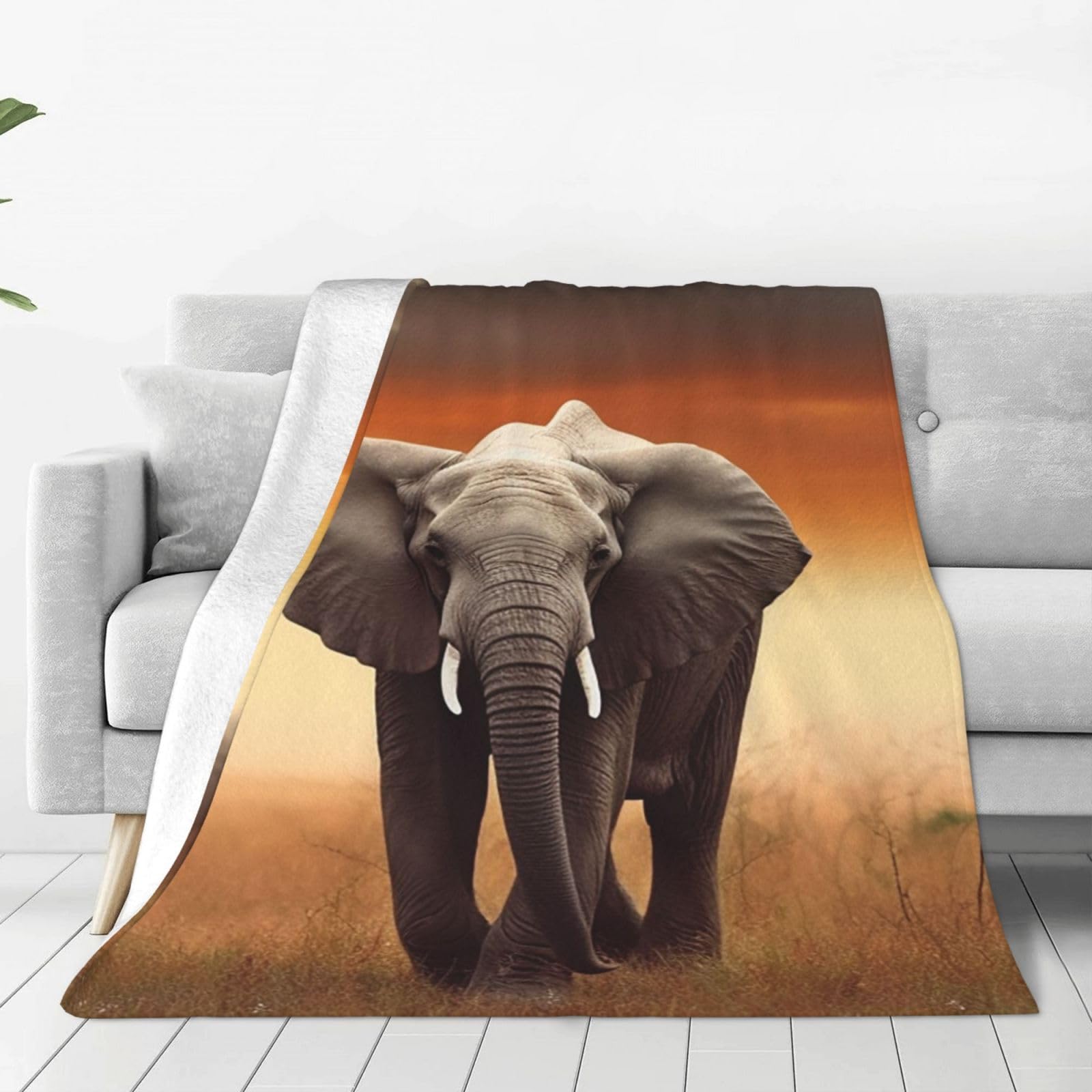 Cute Wild Elephant Throw Blanket for Couch, Plush Fuzzy Soft Flannel Blankets and Throws for Sofa, 50"x40" Bed Blankets for Travel Camping Chair, All Season Warm Fleece Blanket
