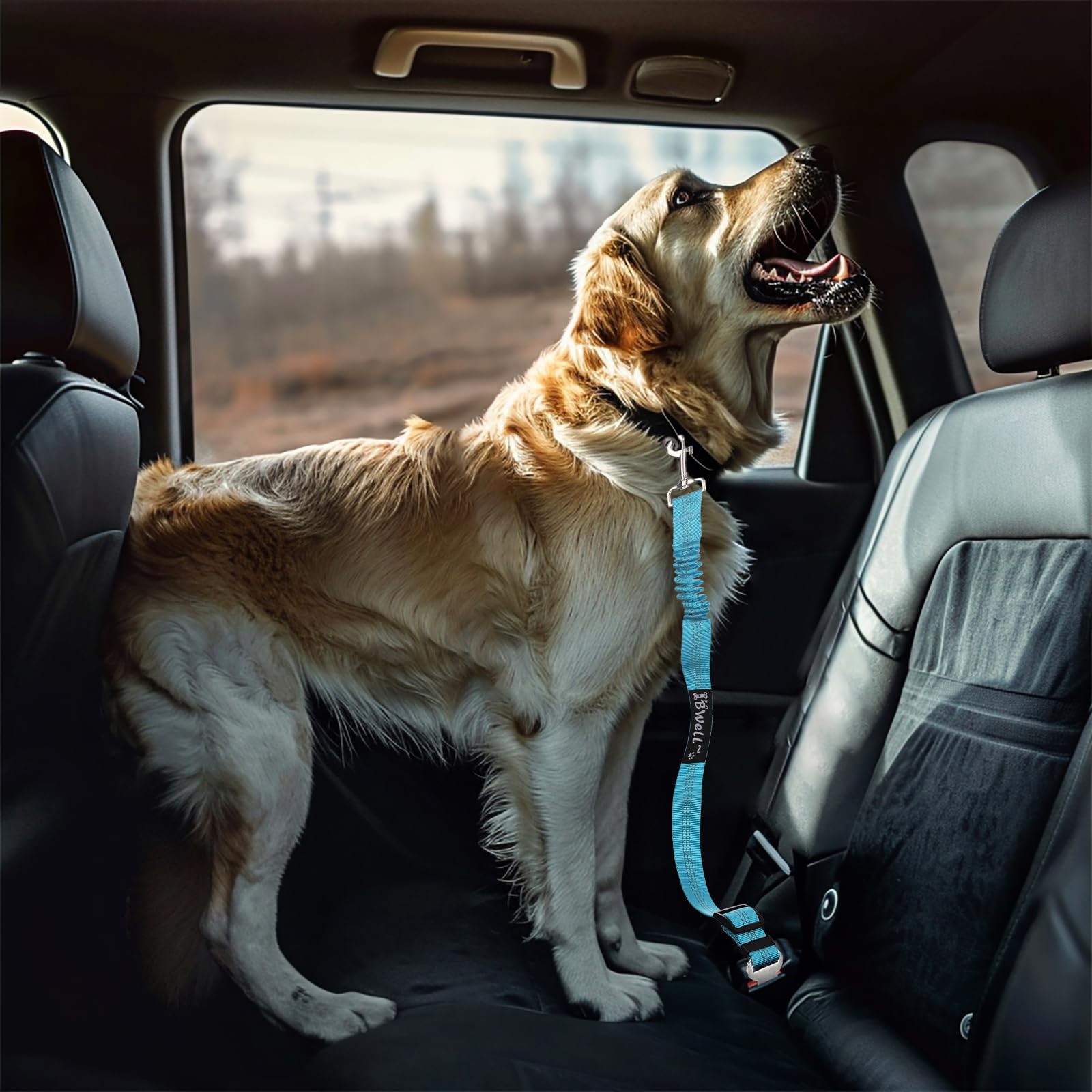 IBWell Cinturón de seguridad para perro para coche con correa elástica para perros, correa de coche para perros, cinturón de seguridad para perros IPCS (gris)