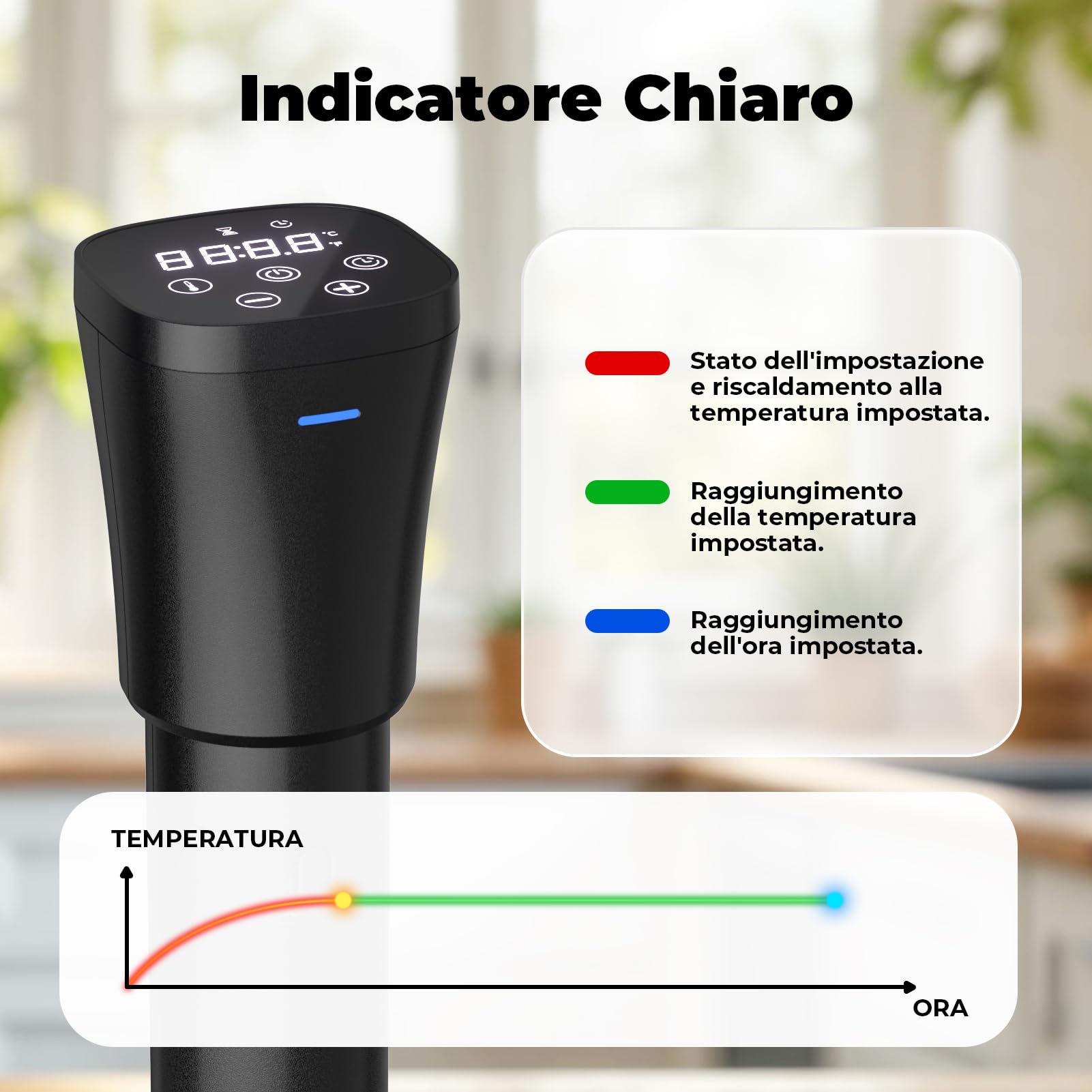 Sous Vide Roner 1000W Cucina a Bassa Temperatura Circolatore Termico Professionale