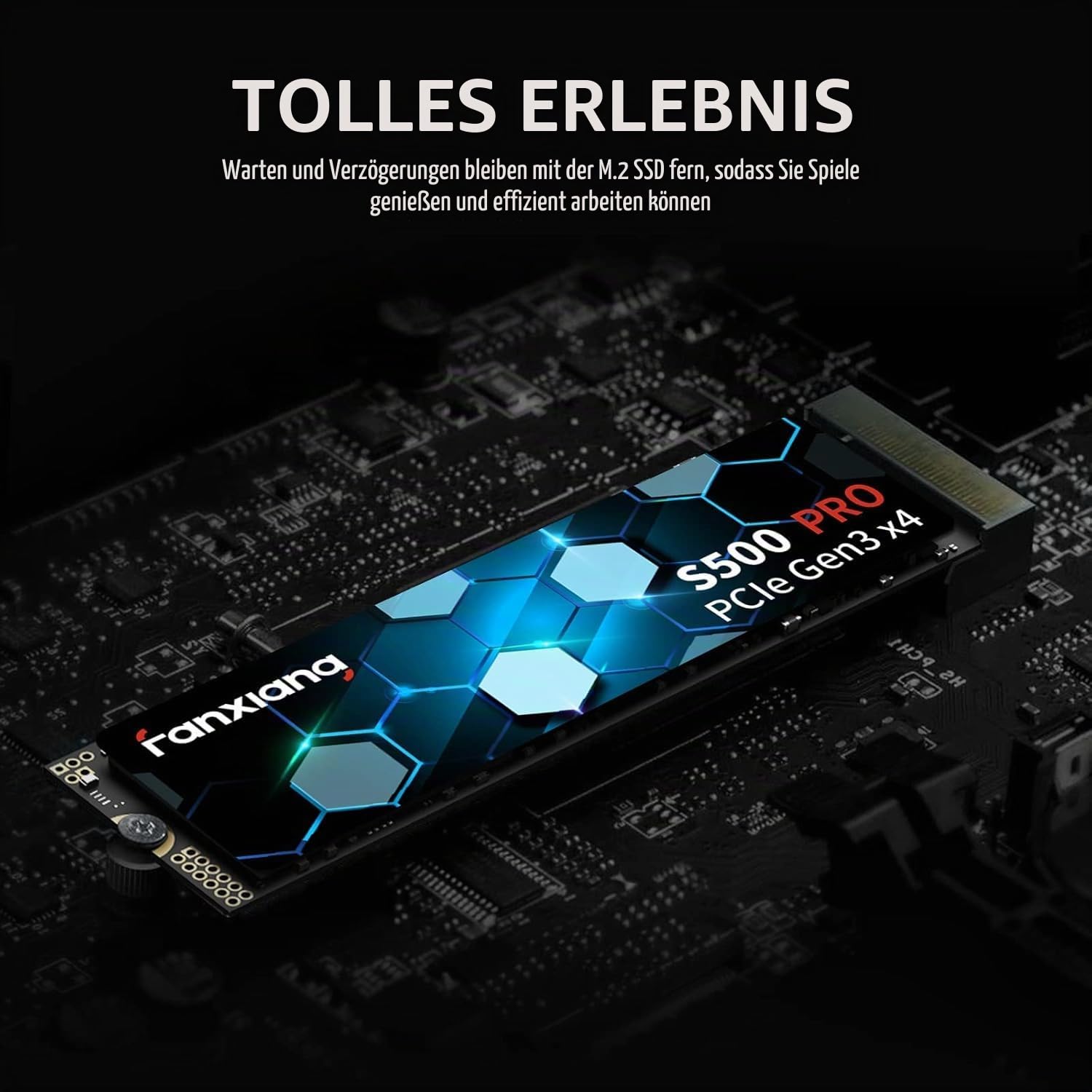 fanxiang M.2 SSD 256GB Interne NVMe SSD Festplatte PCIe 3.0, 3000MB/s Lesen, SSD M.2 2280 mit SLC Cache, Kompatibel mit Laptop, Notebook und Desktop (S500Pro)