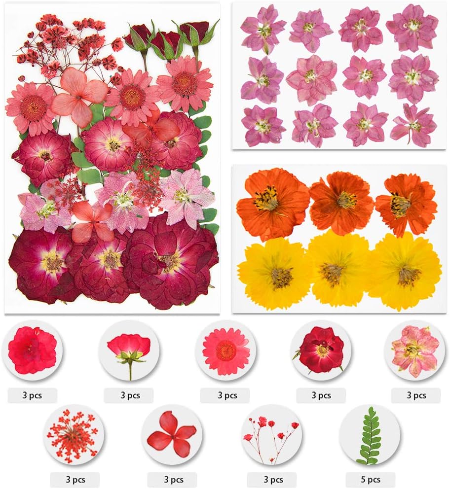 Vignee 47 PCS Real Dried Pressed Flowers Leaves Petals for Crafts- Colorful Pressed Flowers Daisies for Resin Pendant Necklace Jewelry Making Craft DIY Accessories(Style A)