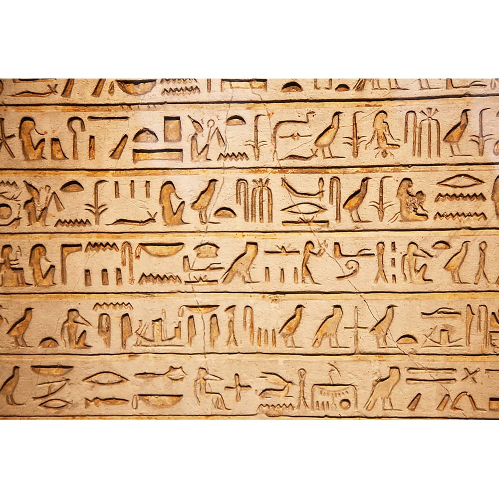 Aoihrraan 3x2,5m Antiguo Egipto Jeroglíficos Fondo Piedra Talla Pictograma Egipcio Historia Civilización Fotografía Fondo Arqueología Curso Viajes Video Brotes Retrato Fotografía Estudio Atrezzo