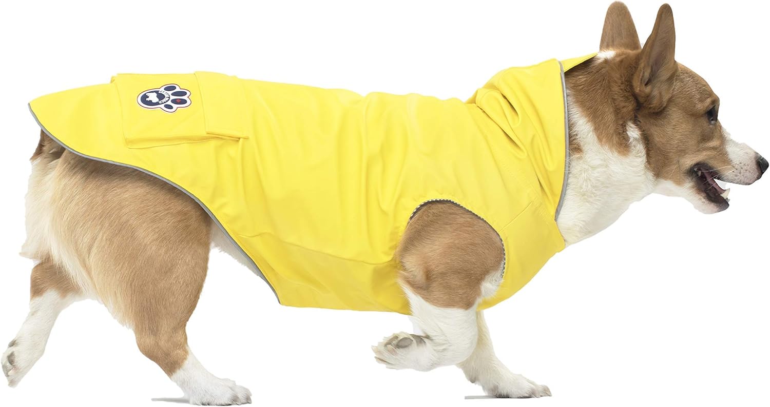 dog rain jacket