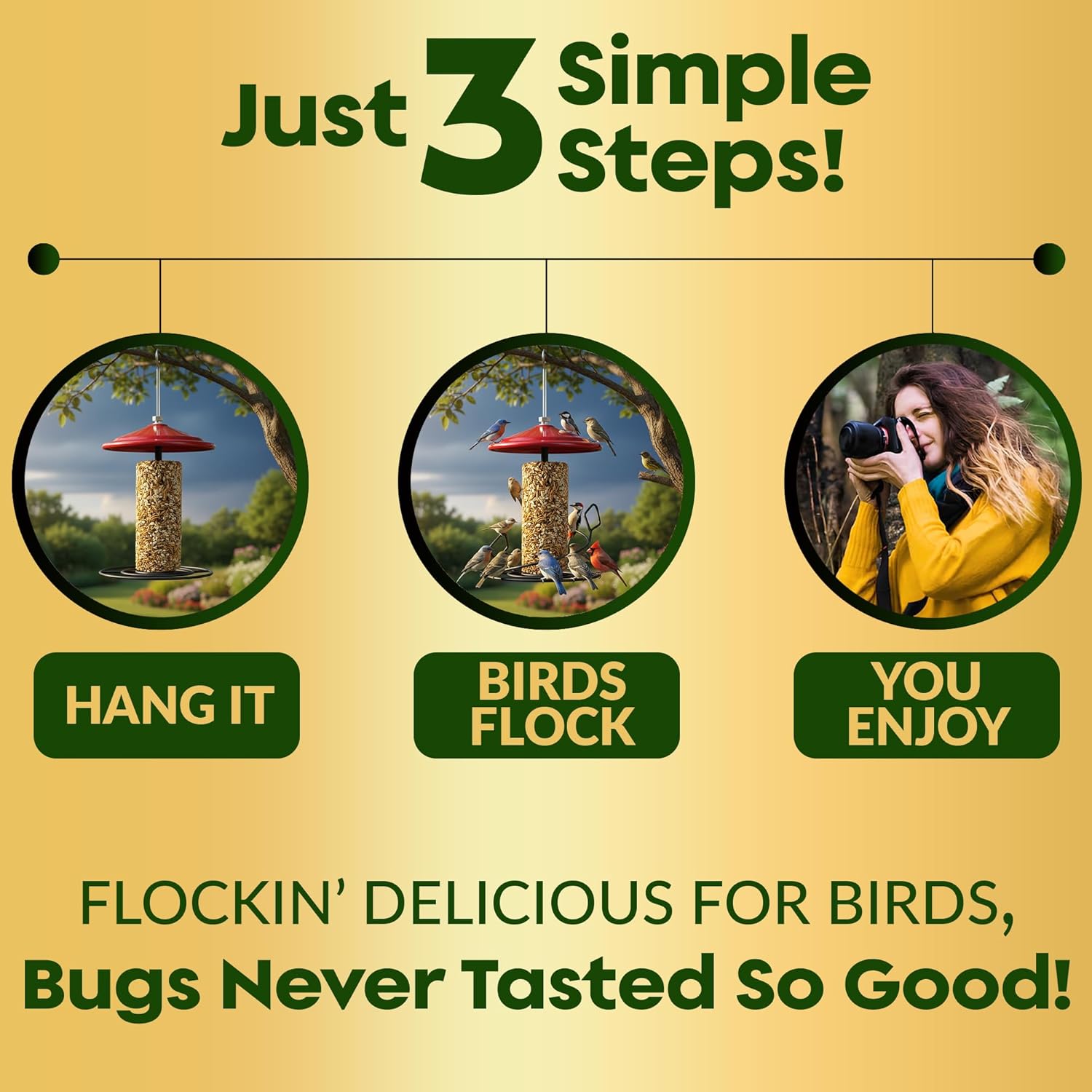 Mealworm Bird Seed Cylinders with Hole – Premium Mealworm Birdseed Log – Sunflower Chips & Dried Mealworms for Wild Birds – Natural High Energy Seed Cylinder – No Fillers – USA Made (4" x 7.75")