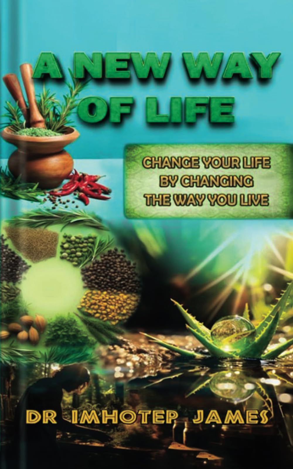 A New Way of Life: Change Your Life by Changing the Life You Live