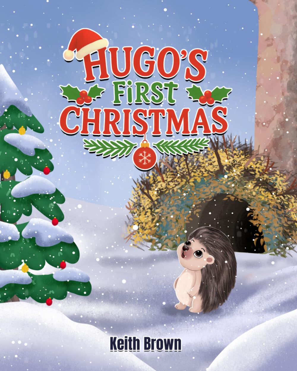 Hugo's first Christmas: Meet Hugo A little Hedgehog with a very big wish