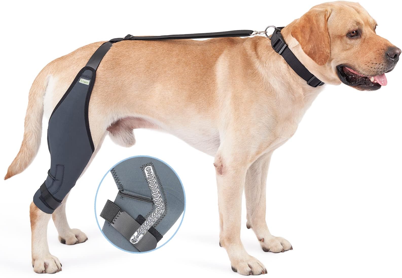 In hand Dog Knee Brace, 8 Sizes Canine Dog Elbow Brace Knee Immobilizer Support with Metal Strips Help Dog Keep The Joint Stable, Neoprene Canine Stifle