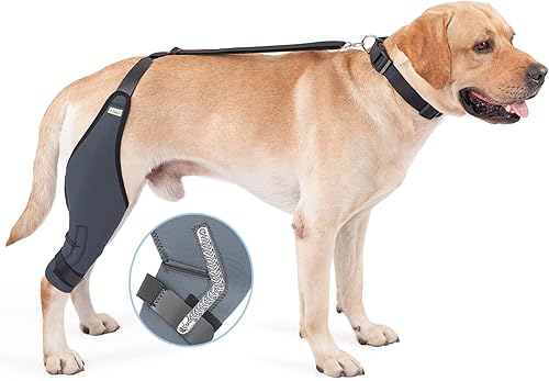 IN HAND Rodillera para perro, 8 tamaños de codo canino para perro, soporte inmovilizador de rodilla con tiras de metal, ayuda al perro a mantener la