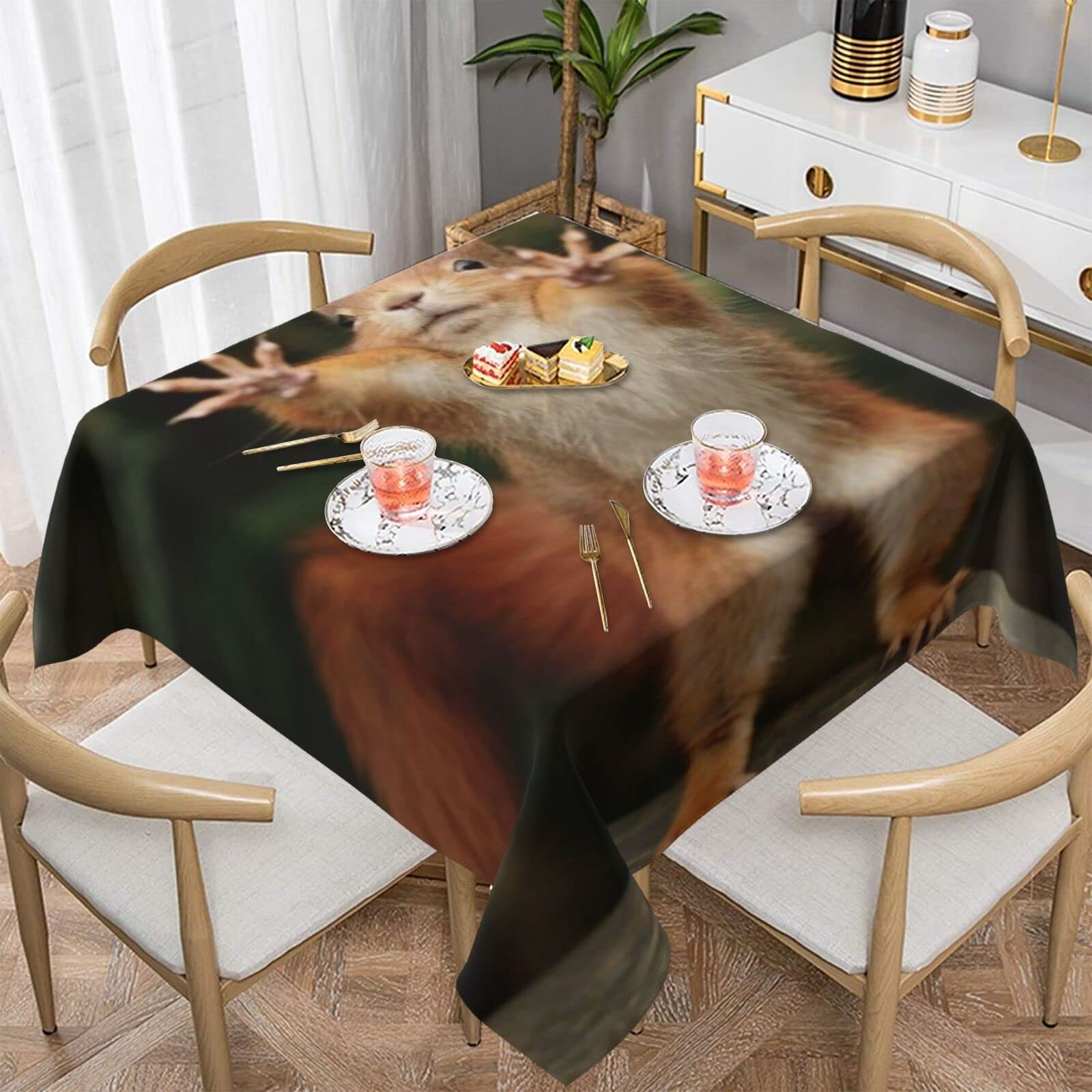 Nappe écureuil carrée protégeant et décorant votre table de salle à manger