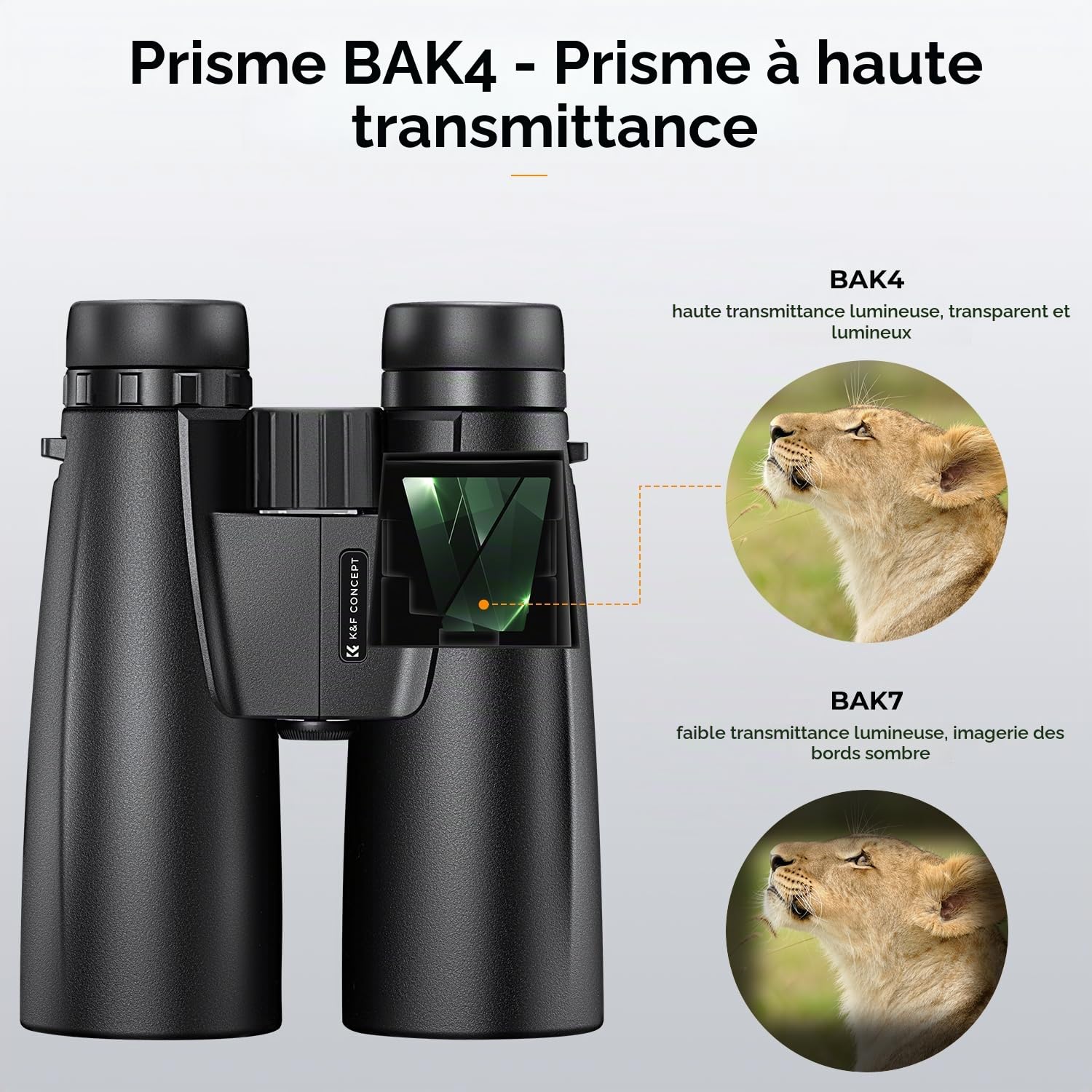 K&F CONCEPT Jumelles Adultes 12 * 50 HD Noir avec Support pour Téléphone Portable et Support de Conversion en Trépied pour Extérieur Chasse, Observation Oiseaux, Voyage, Randonnee | avec Support pour Téléphone et Support de Conversion en Trépied pour Exté