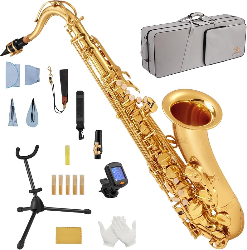 STRICH Bb Tenor Saxophone for Student Beginner, Brass Tenor Sax Kit with Hard Case Stand Neck Strap Mouthpiece and Reeds for Band School, STS-130G, Gold