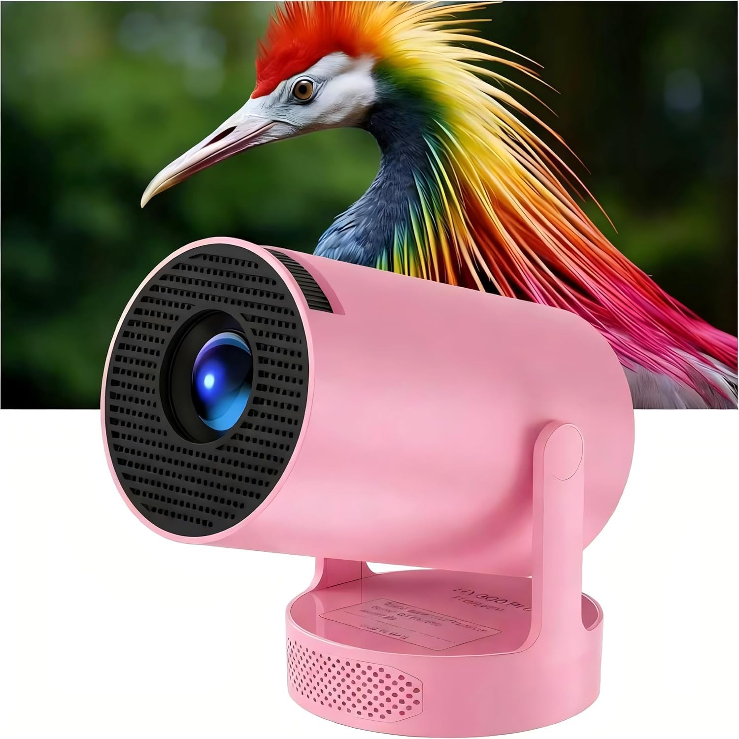 Mini Sistema di Cinema – Schermo Portatile per la Visione in Ambienti Interni ed Esterni