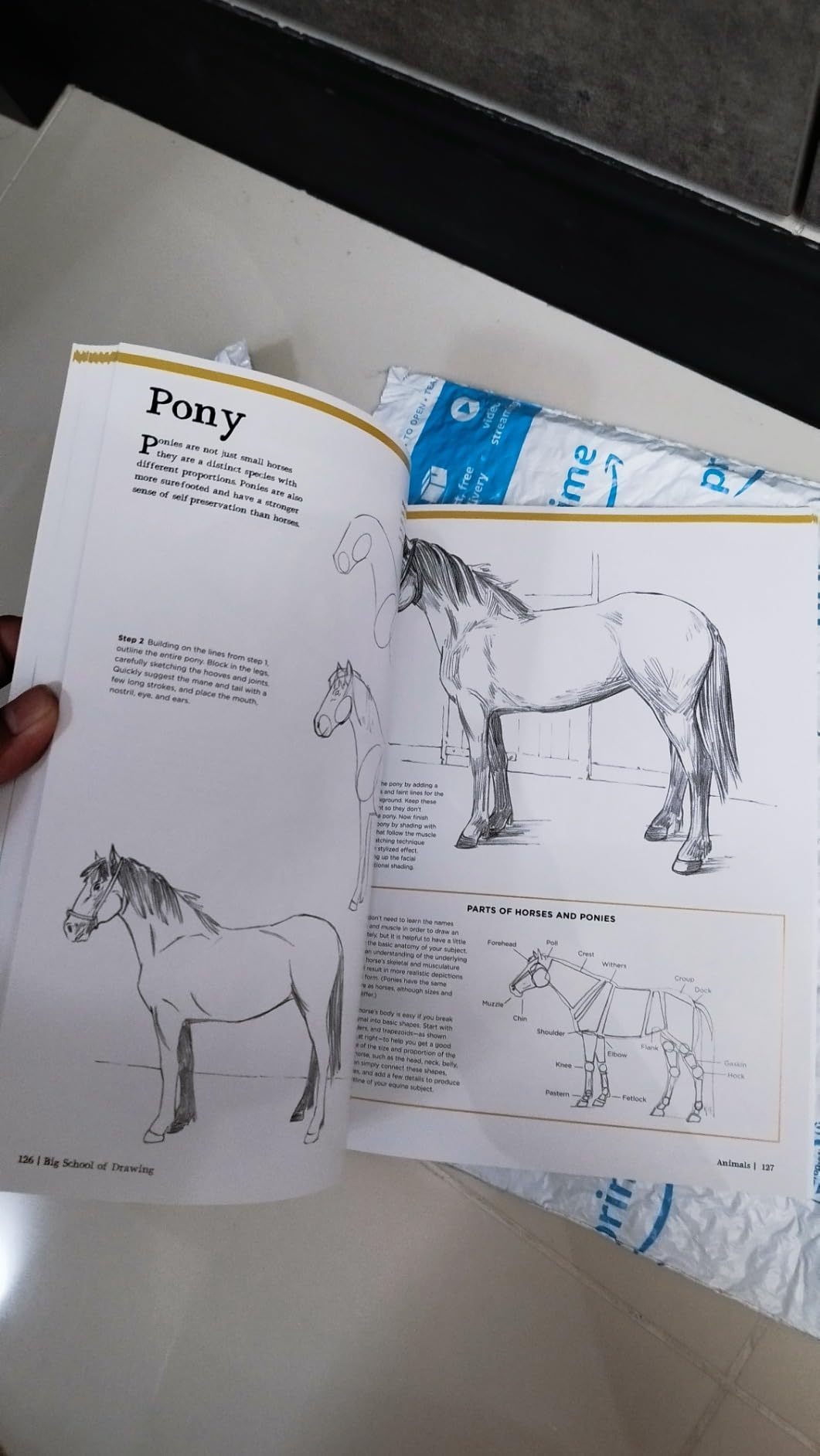 Published Drawing Big School of Drawing: Well-Explained, Practice-Oriented Drawing ...