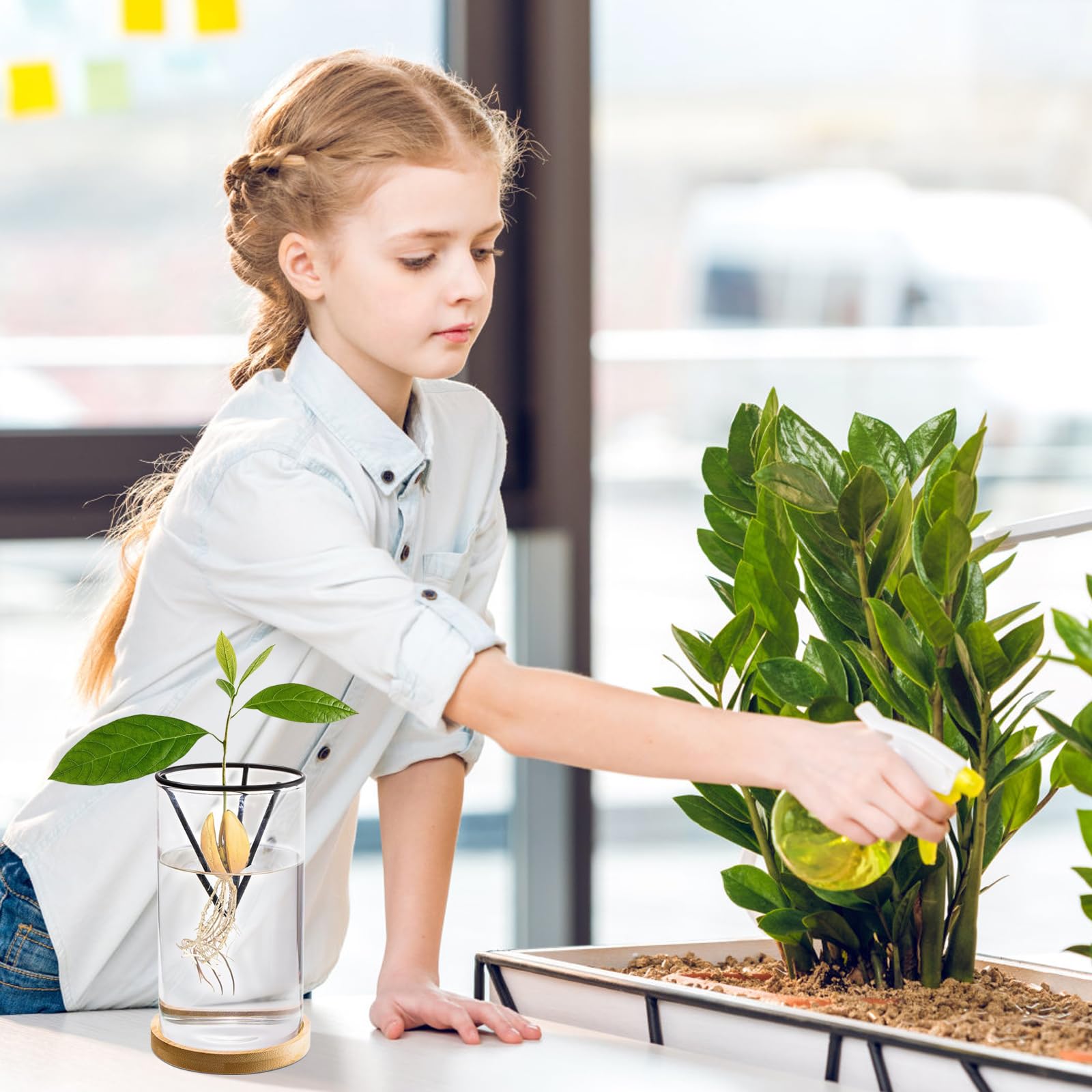 PLANÈTE PLANTE Kit Piantagione Avocado Per Bambini +3 Anni – Gioco Creativo Da Giardino Con Sughero - 3