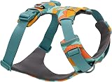 Ruffwear, Front Range Dog Harness, Reflective Soft Padded Everyday Harness with Dual Leash Clips, Adjustable and Lightweight Fit for Training or Walking for All Dogs, Spring Mountains, Small Spring Mountains Small