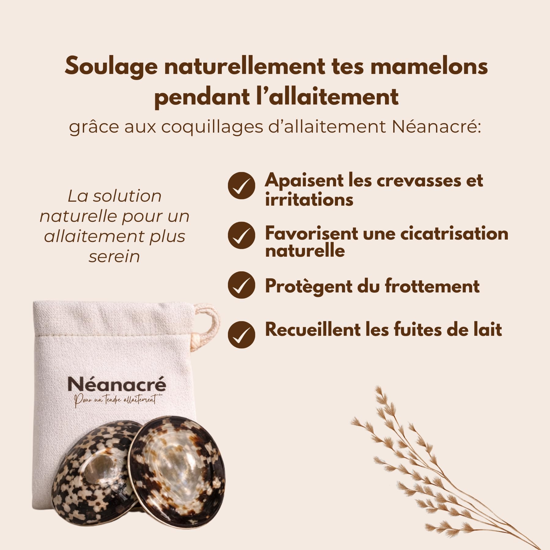 Coquillages d’Allaitement en Nacre Naturelle – Protège Mamelons Allaitement – Soulage Crevasses & Irritations – Réutilisables – Tailles S/M/L – Néanacré (M) (M)
