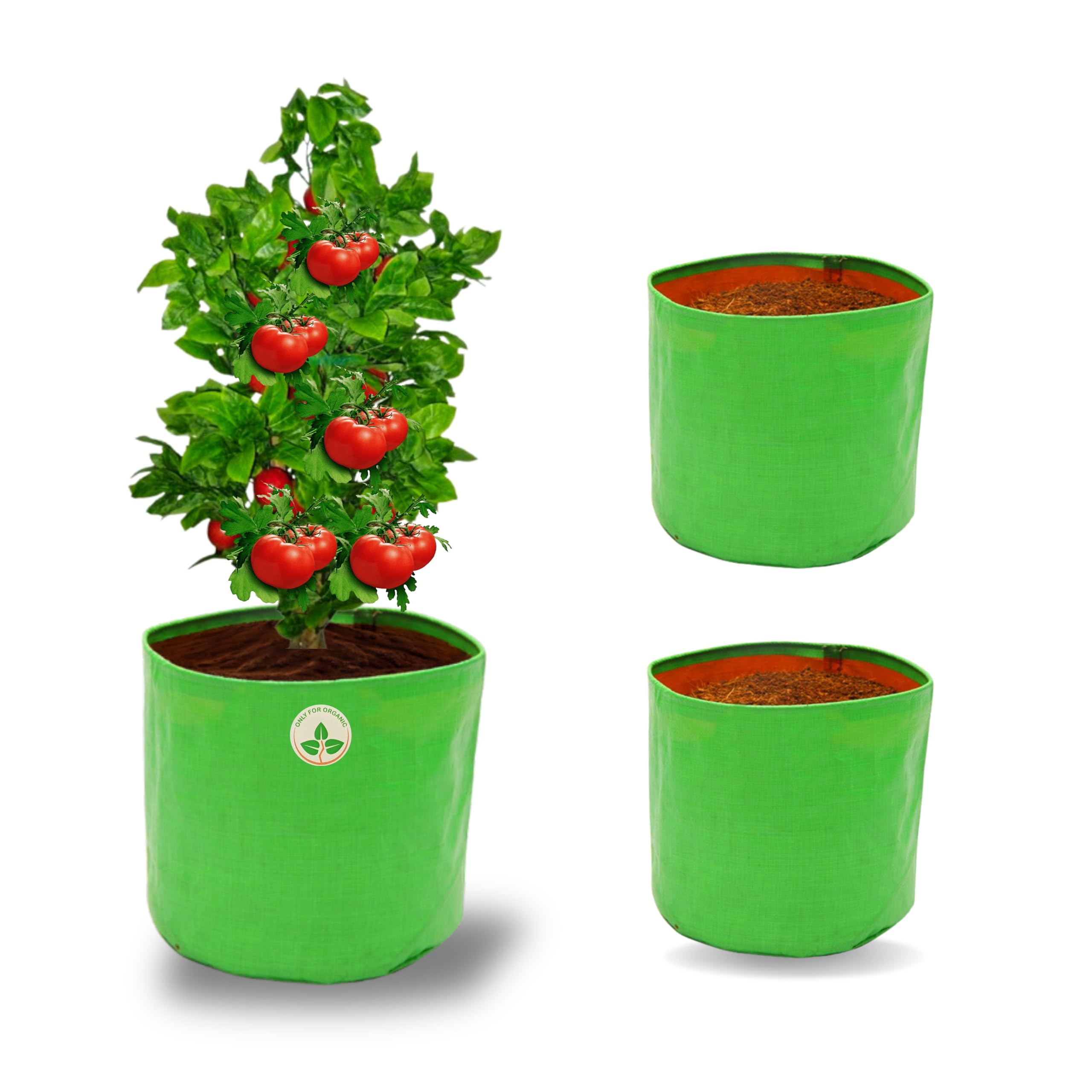 ONLY FOR ORGANIC - HDPE UV Treated Green Grow Bags for Home/Commercial Gardening (Size-12x12 inch) - Pack of 3 (B08R8WMFPN) Amazon Price History, Amazon Price Tracker