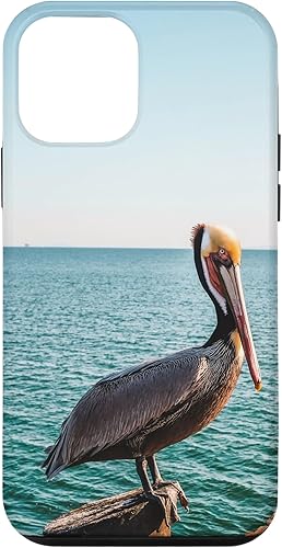 Vista 37 de iPhone 11 Pelican Case