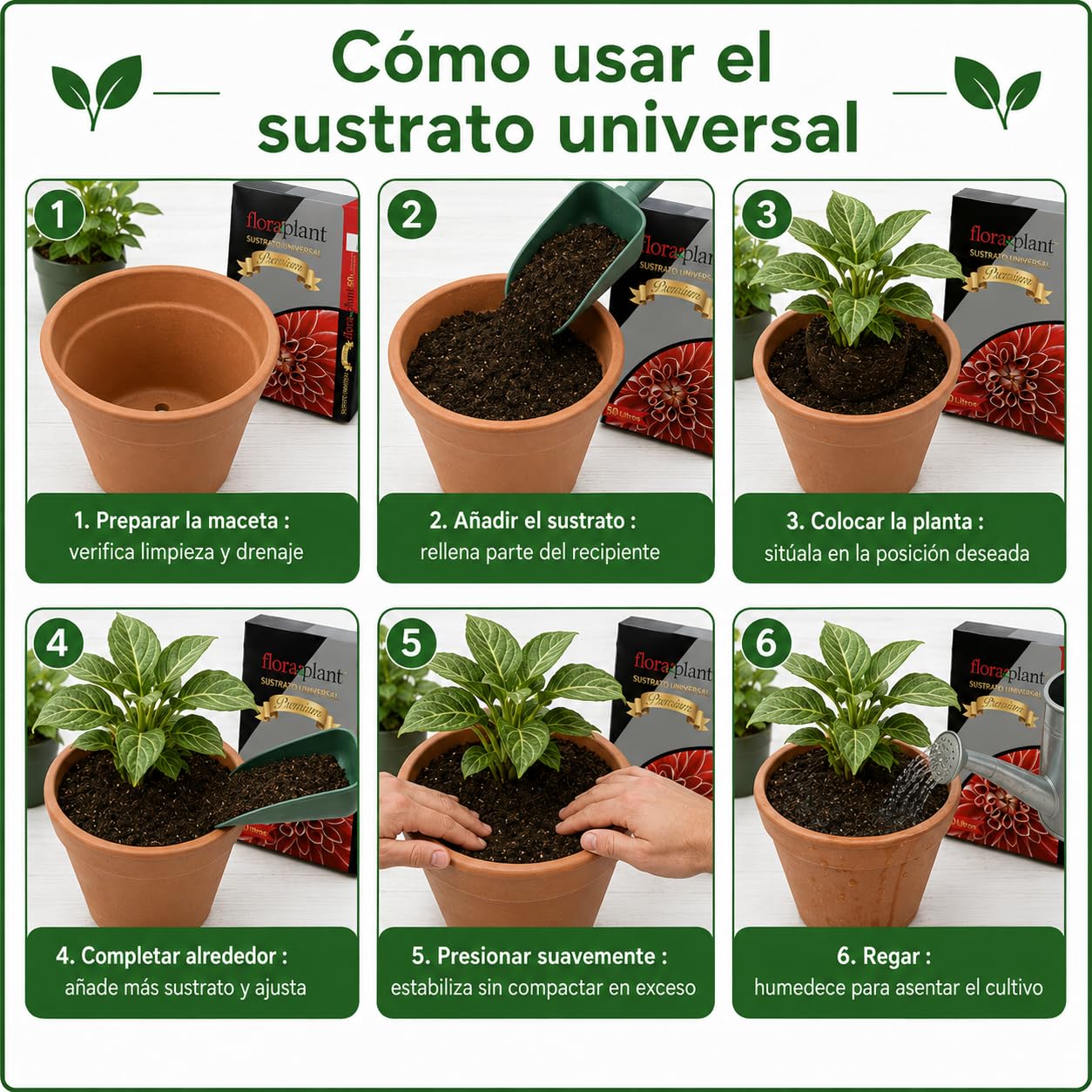 ARDINLIFE FLORAPL50 Sustrato Floraplant, Negro (2 Unidades)