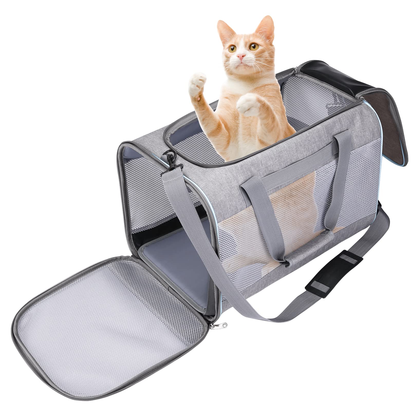 Bibykivn Transportín Gato Perro, Plegable Transportín Perro Pequeño, Portador de Viaje con Correa de Hombro Ajustable para Mascotas en Coches, Aviones o Trenes (Gris)