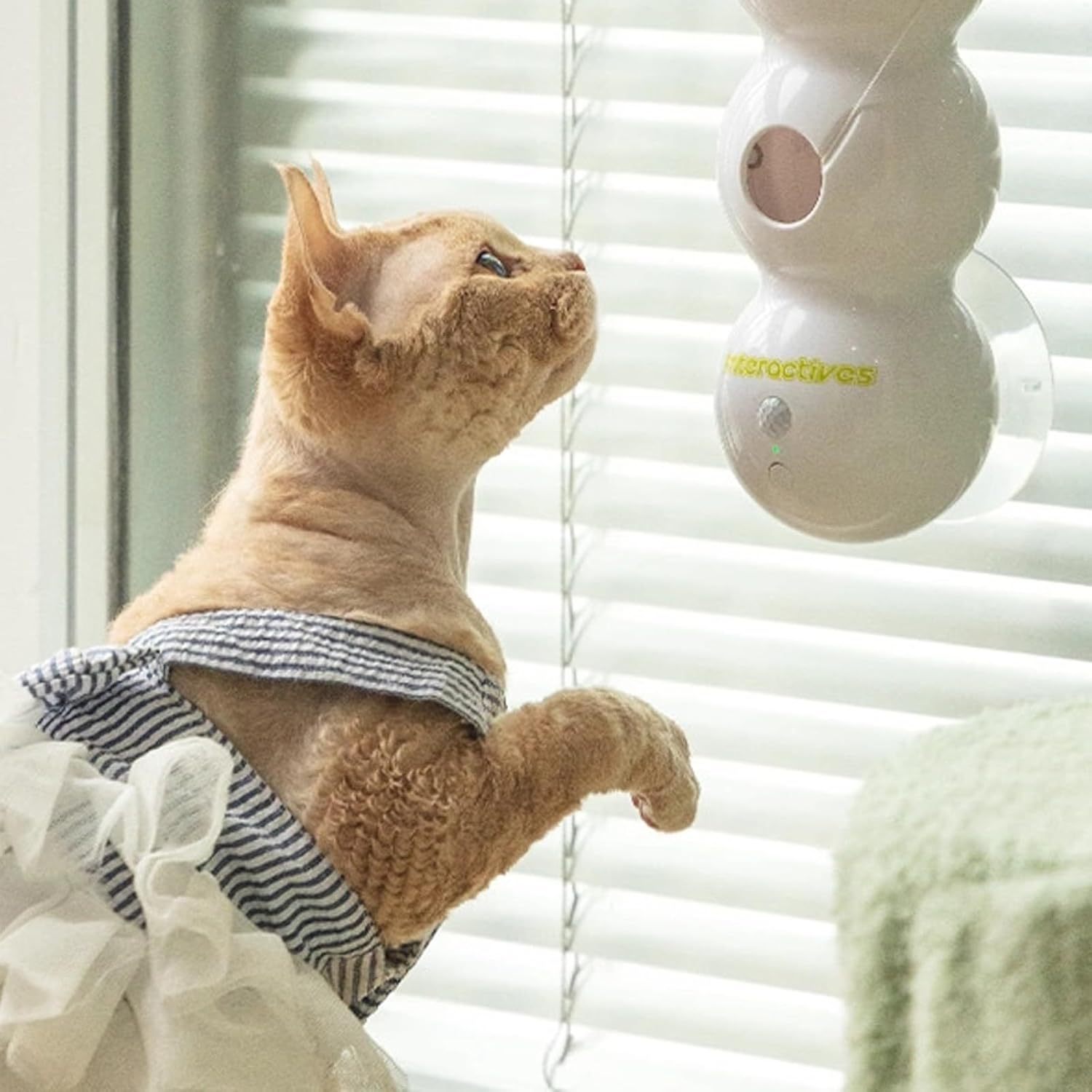 Cats Interactive Play Rod Replaceable Prey Attachments Auto Swing Mode USB Rechargeable Intelligent Cats Teaser Stick