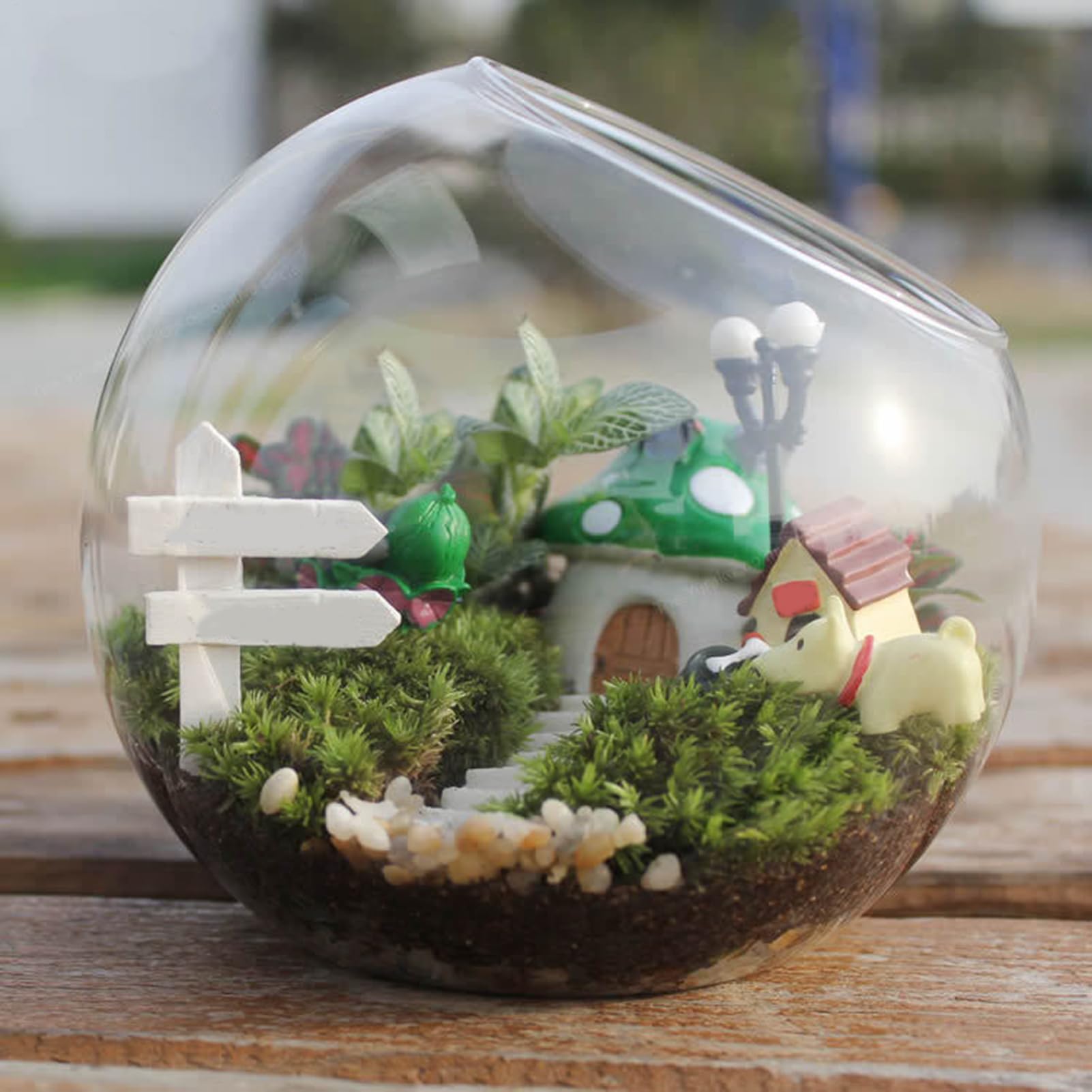 Terrario de cristal, jarrón para peces, terrario de maceta, tarro de terrario, maceta de cristal, jarrón de flores, contenedor de plantas de aire, decoración del hogar, centro de mesa para suculentas