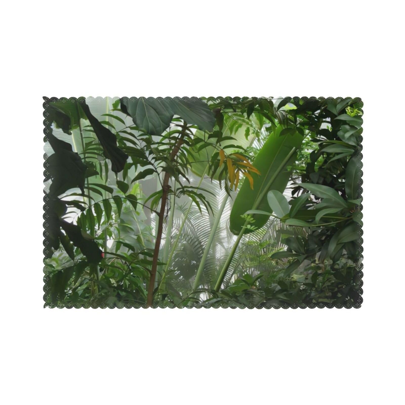 YYHHAOFA Tropical Rainforest Jungle Scene Prints Placemats Set of 6 12x18in – Create Cozy Table Settings for Everyday Moments & Special Gatherings