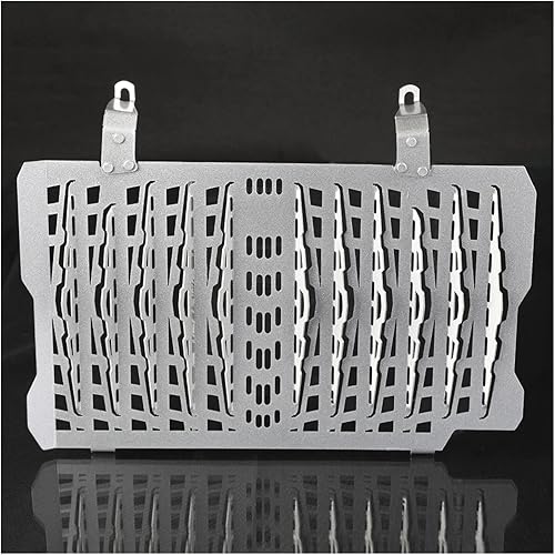 Cubierta protectora de rejilla de radiador para BM-&W F750GS F 750 GS F850GS Adventure F 850 GS ADV 2018 2019 2020 2021 protección para parrilla de