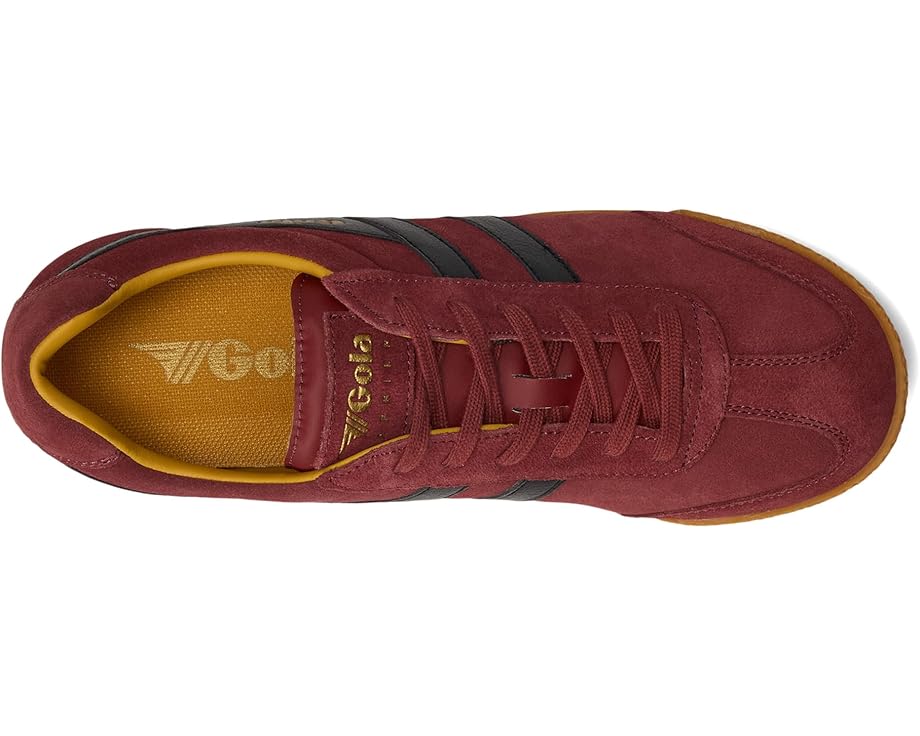 Gola Harrier - Top View