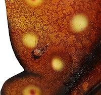 Vista 6 de WorldBazzar Hermosa estatua de escultura de arte de pared de coral con mantarraya, manta raya, de metal, extra grande, grande, grande, única en su