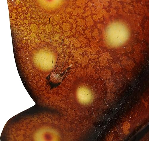 Miniatura 6 de WorldBazzar Hermosa estatua de escultura de arte de pared de coral con mantarraya, manta raya, de metal, extra grande, grande, grande, única en su