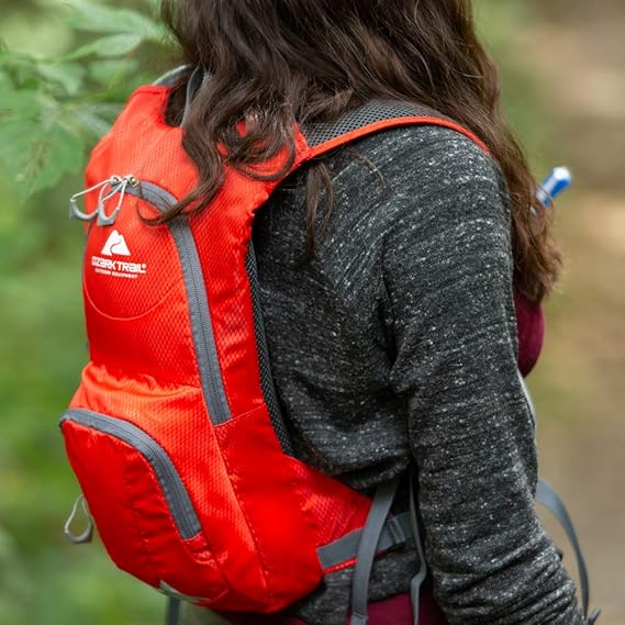 ozark trail water backpack