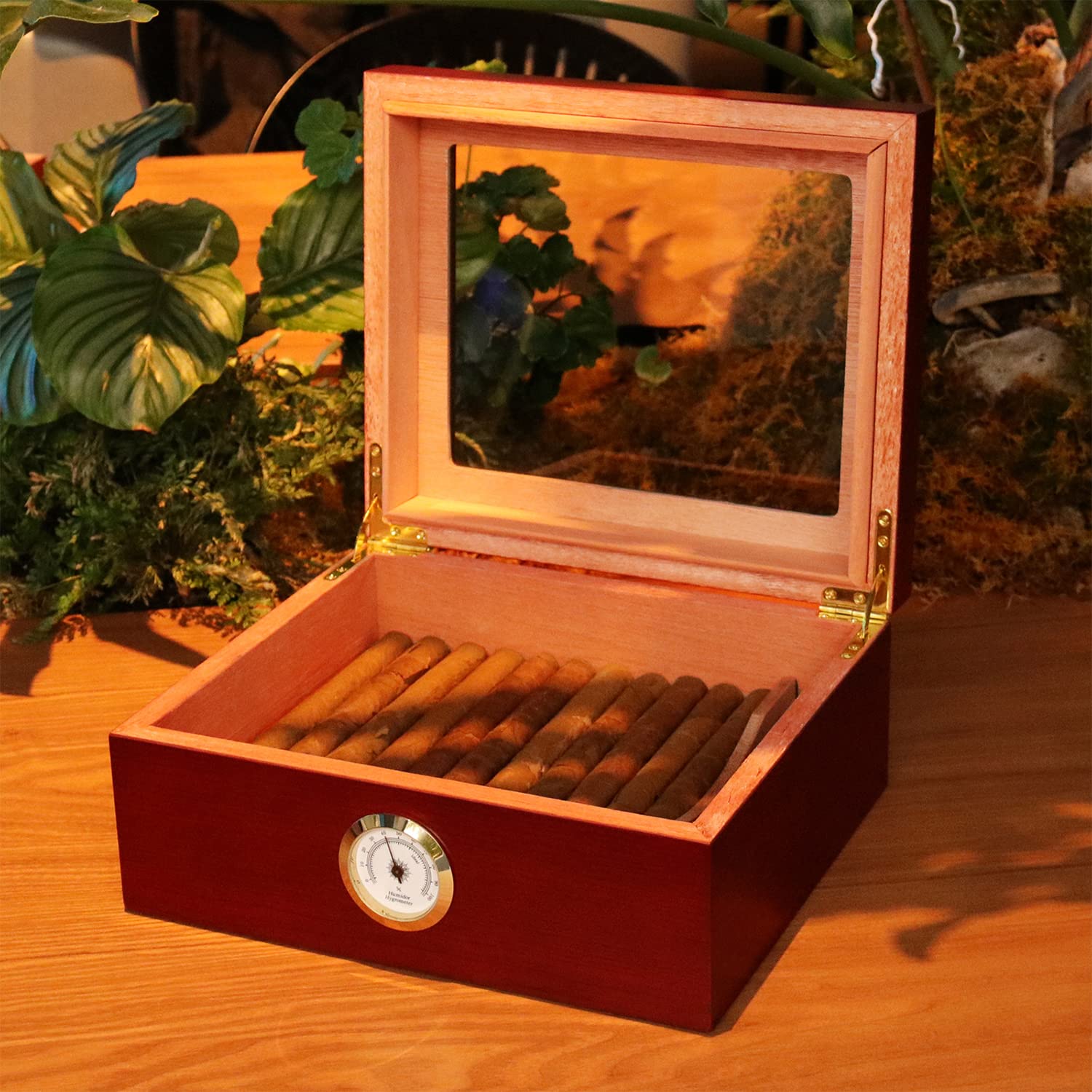 Cave à cigares en bois de cèdre avec thermomètre, hygromètre numérique et humidificateur frontal, écran supérieur en verre trempé
