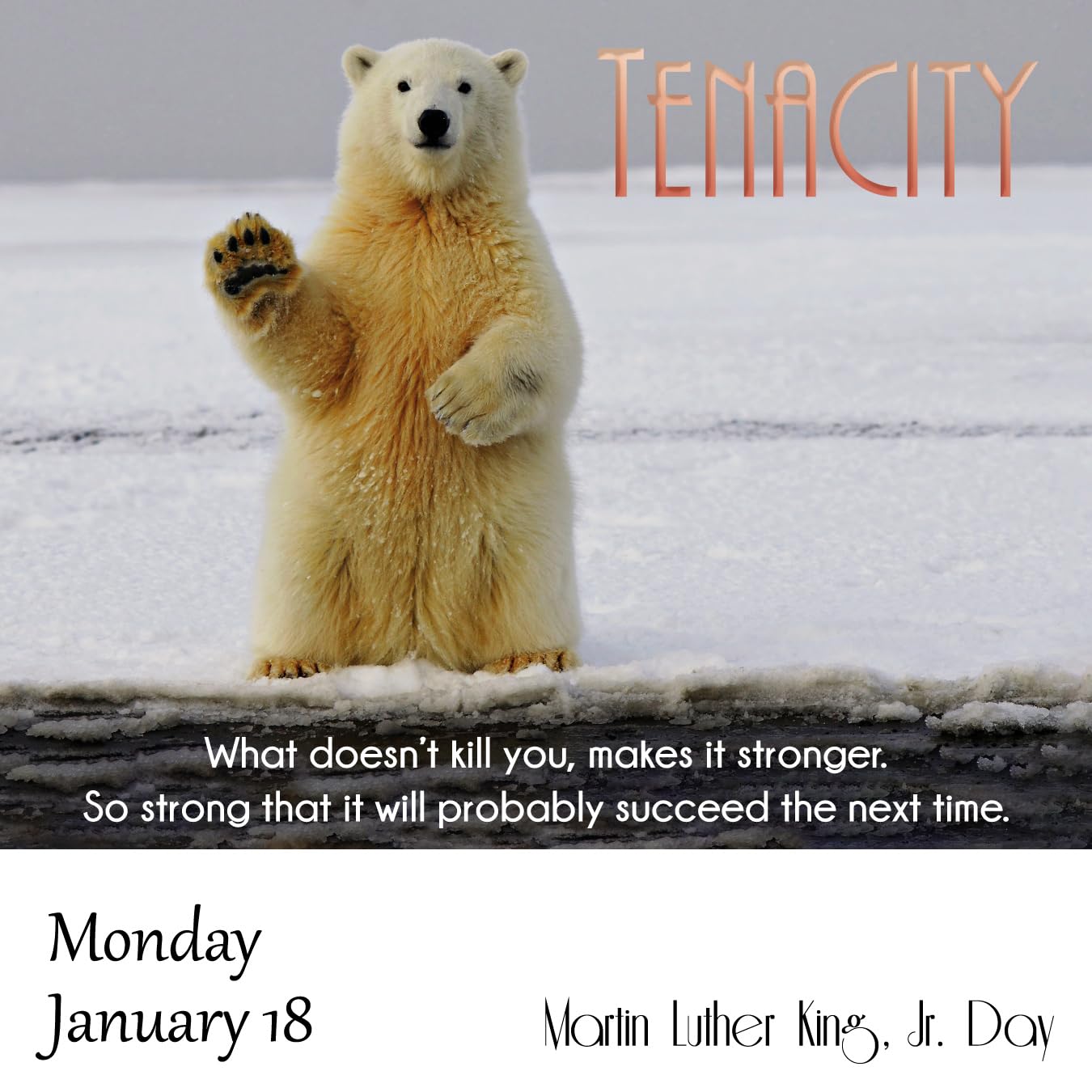Demotivational 2027 Daily Calendar (A Funny, Uninspirational, and Humorous Page-A-Day / Day-to-Day Desk Calendar - all 365 days!)