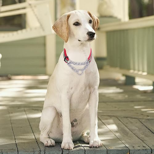 Miniatura 3 de LOS ANDES Collar Martingale para perros, collar reflectante para perro, collar de entrenamiento acolchado ajustable para perro, collar de nailon